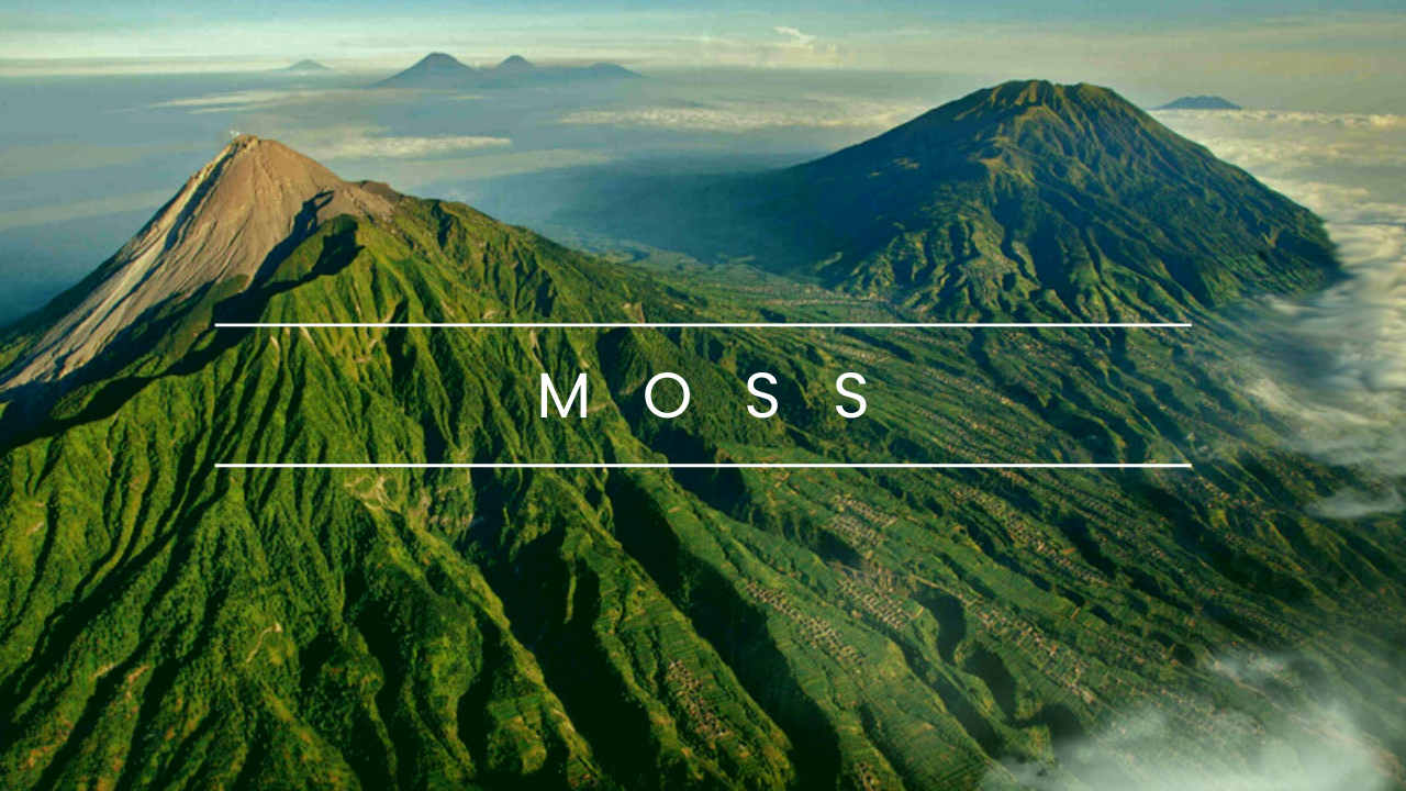 Stochastic Bandits: The MOSS Algorithm